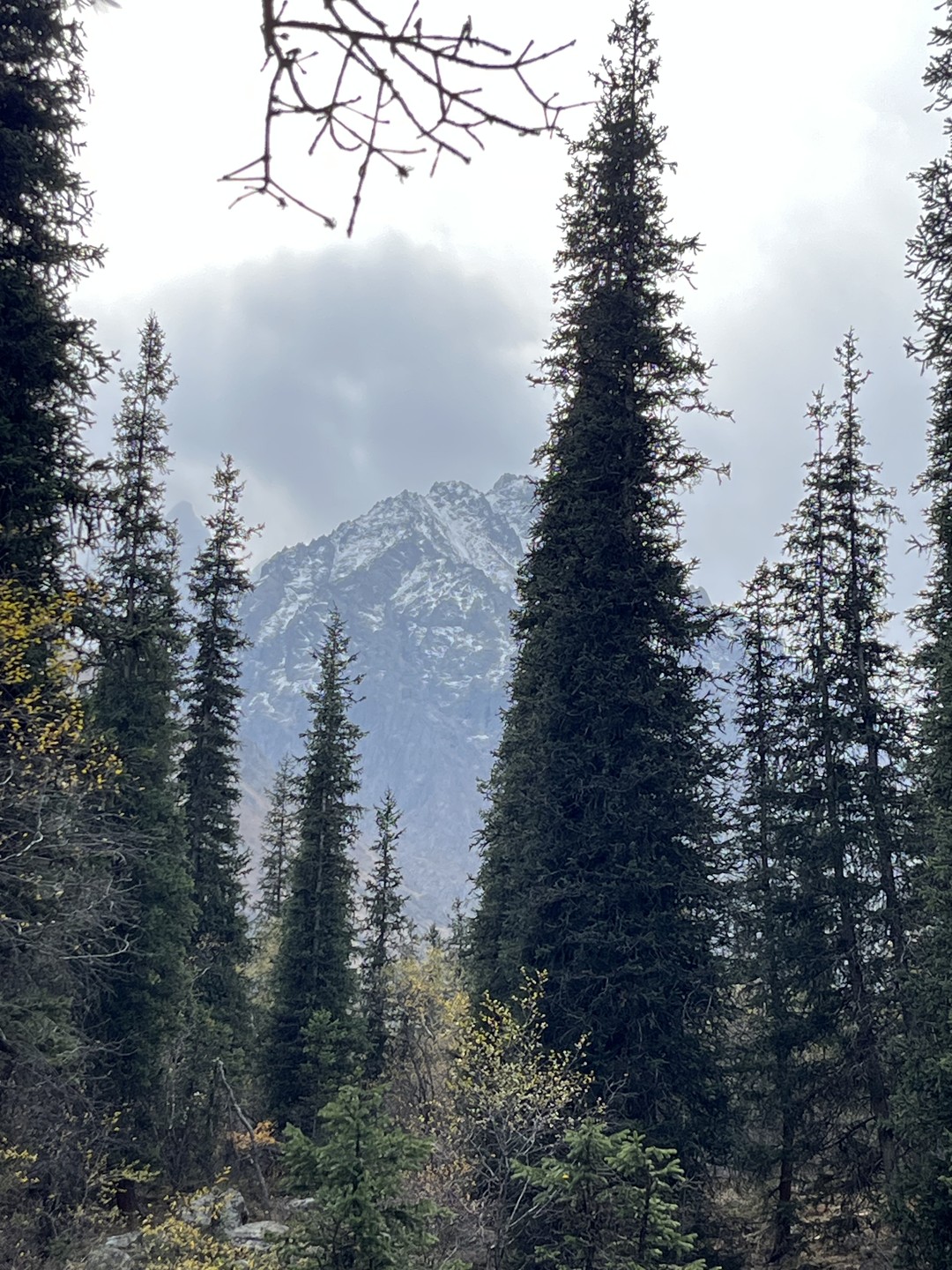 Отзыв о экскурсии "3 в 1: природный парк «Ала-Арча», плато Чункурчак и термы в ущелье" — фото 3