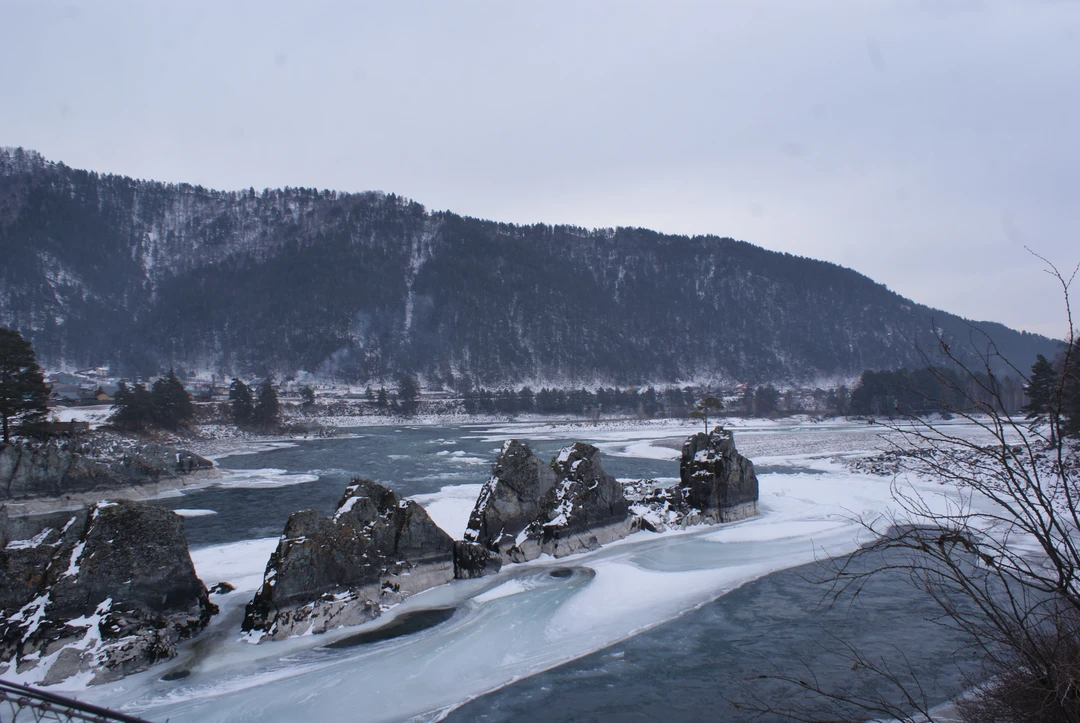 Отзыв о экскурсии "Долина Катуни — в гости к госпоже Горного Алтая" — фото 4