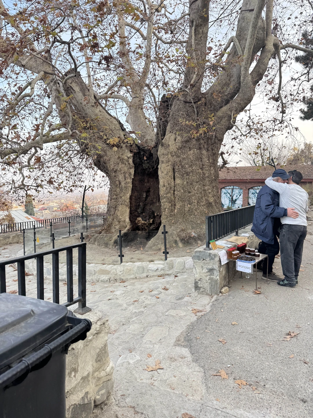 Фото путешественника — 3