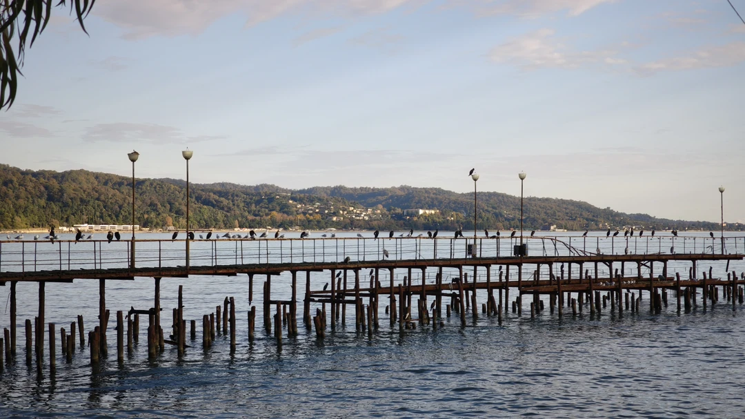 Отзыв о экскурсии "Многоликий Сухум: пешая экскурсия по городу с открытками и фото 19-20 веков" — фото 6