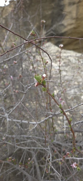 Отзывы об экскурсиях в Баку