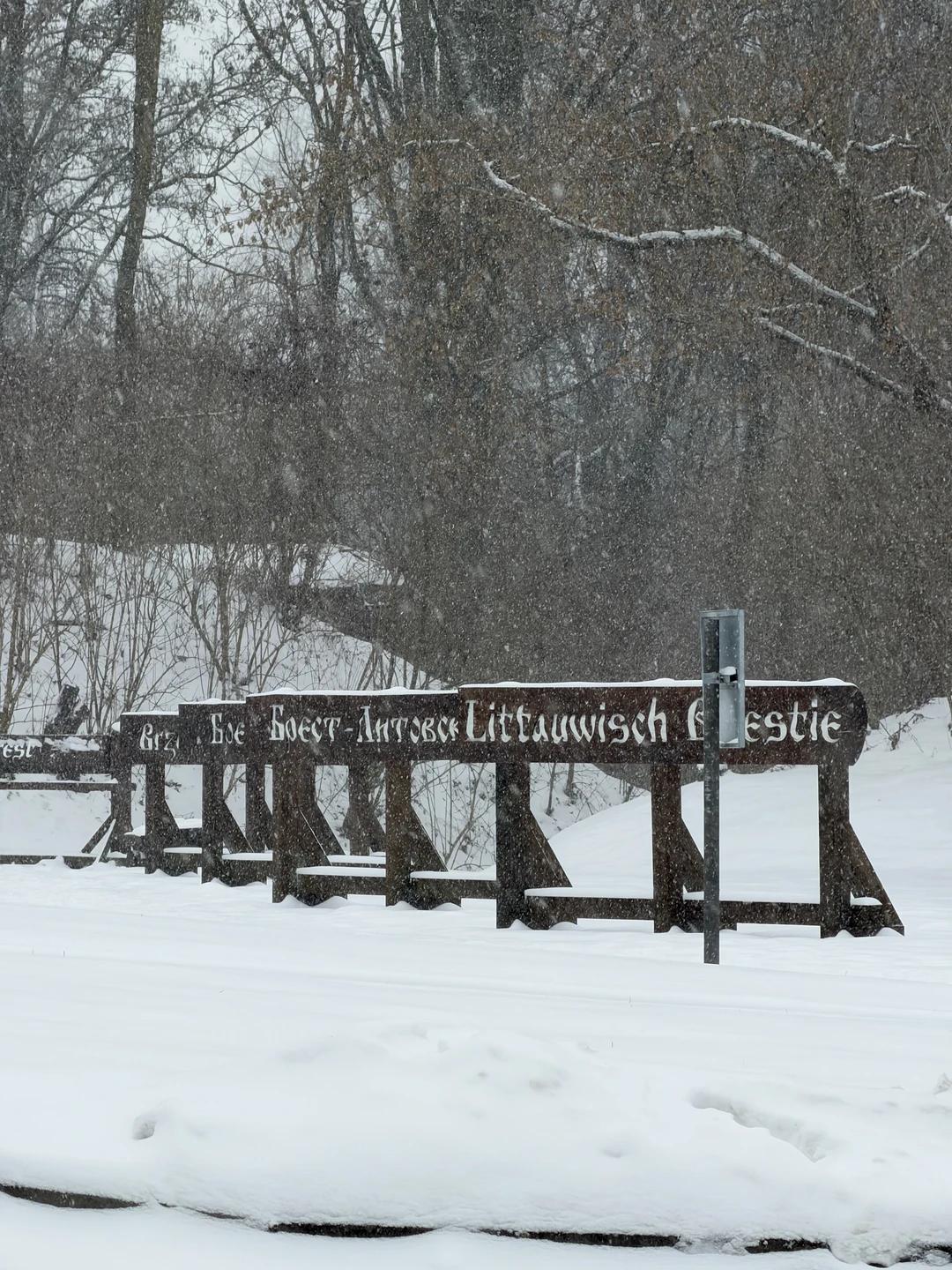 Отзыв о экскурсии "Обзорная экскурсия по Бресту на авто" — фото 2