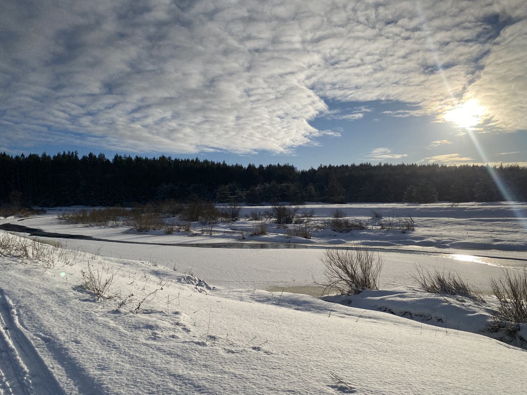 Отзыв о экскурсии "Едем за город всей семьёй: душевные новогодние праздники" — фото 1