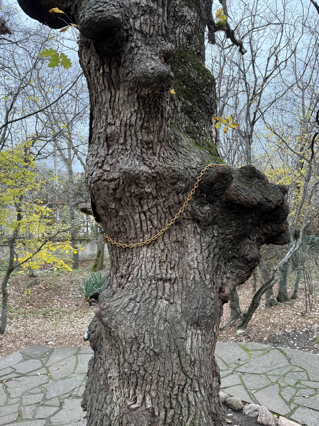 Отзыв о экскурсии "Добро пожаловать в Геленджик!" — фото 1