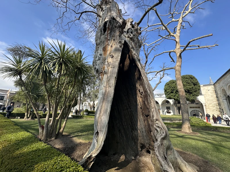 Фото путешественника — 2