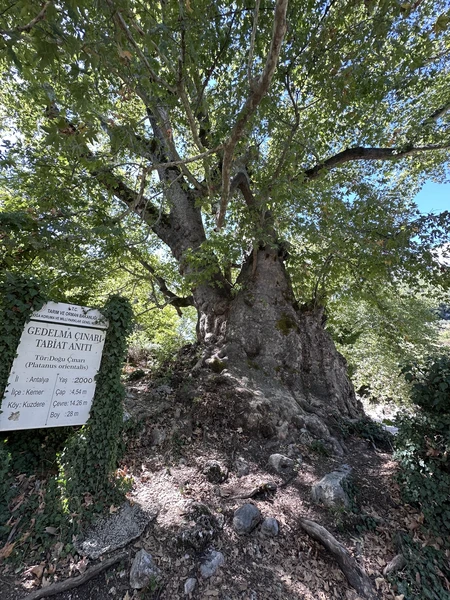 Фото путешественника — 5