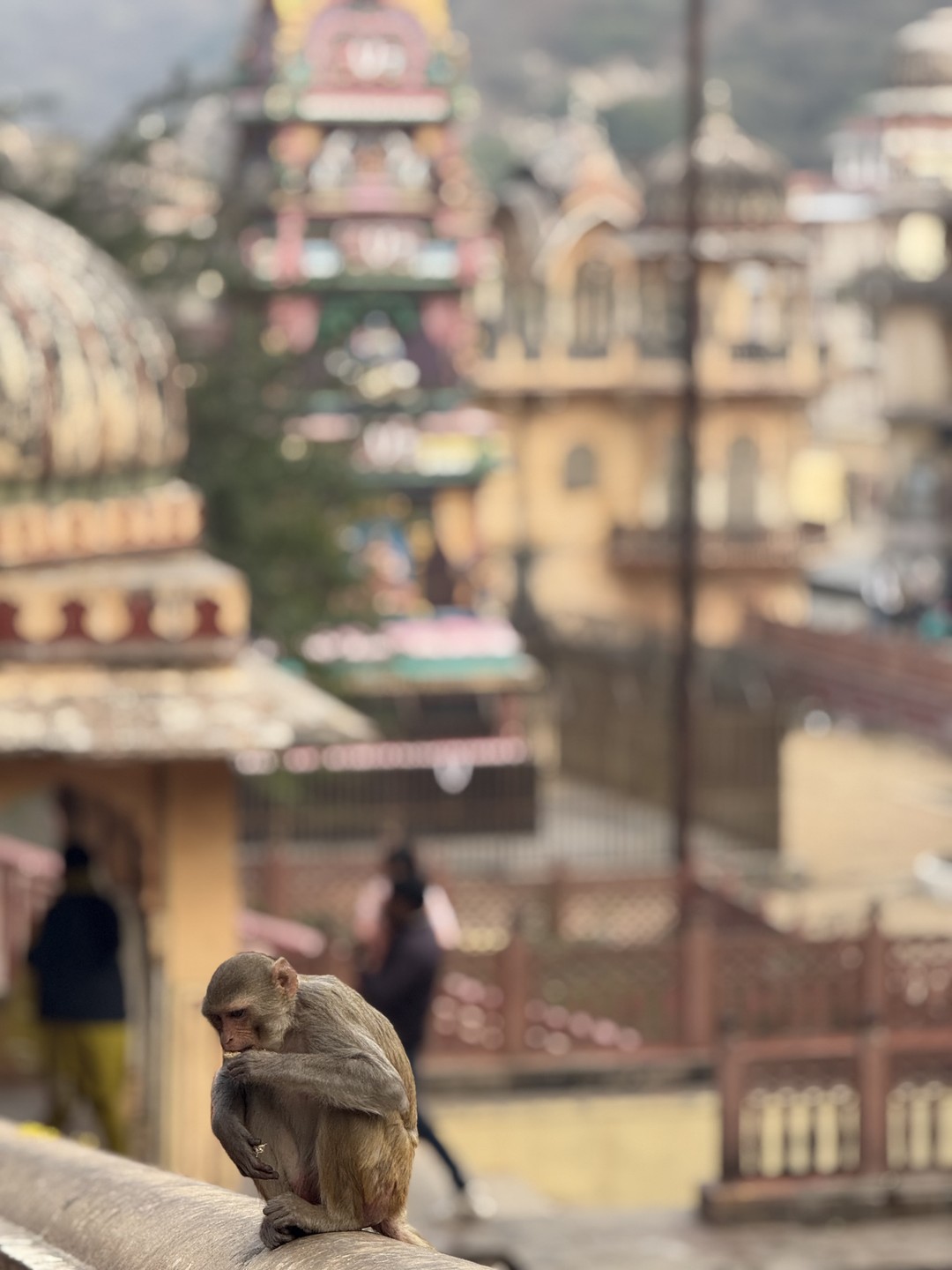 Отзыв о экскурсии "Тур-знакомство с Индией: главные места Дели, Джайпура, Агры и Варанаси за 8 дней" — фото 6