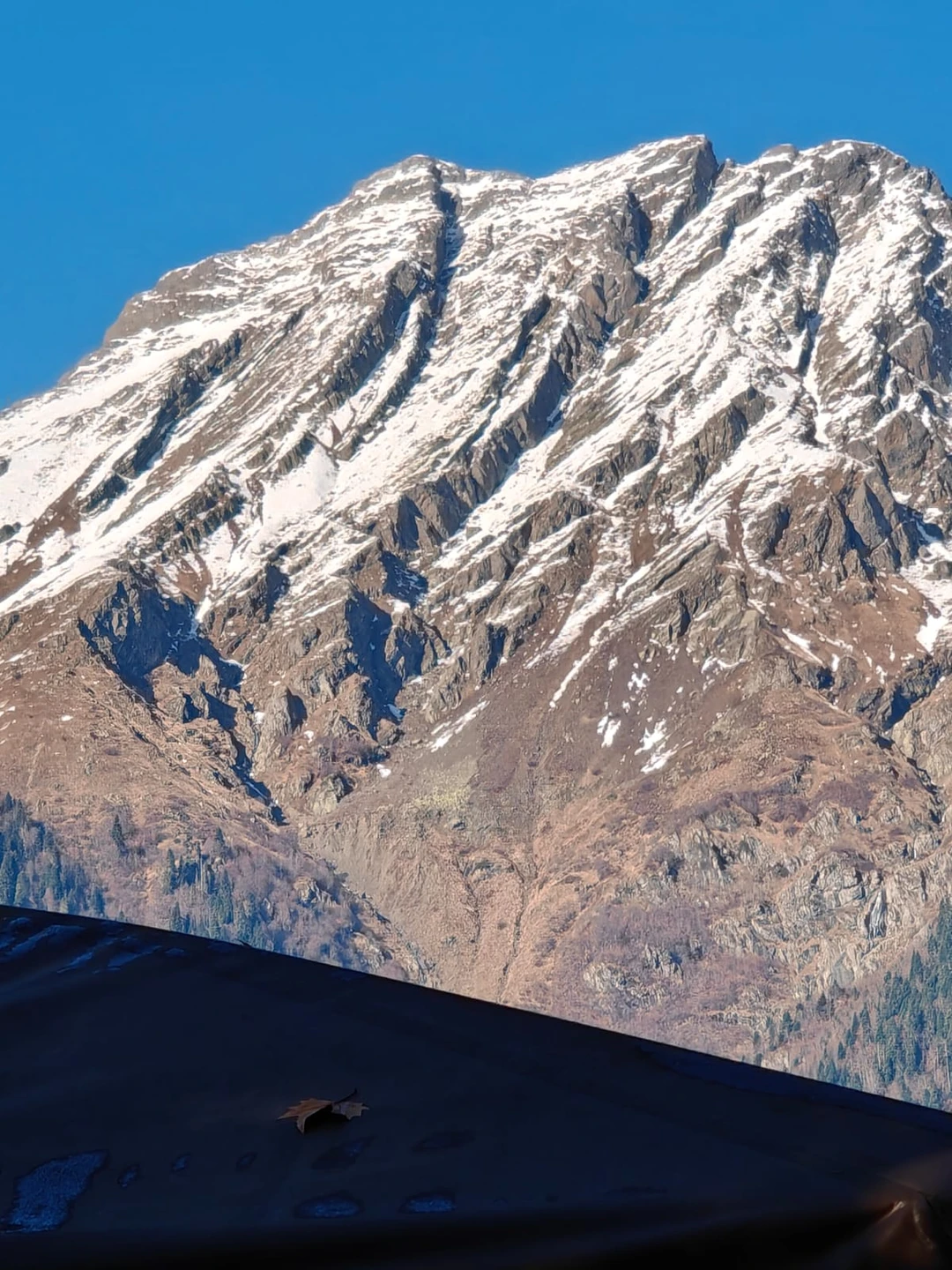 Отзыв о экскурсии "Из Сухума — к красавице Рице" — фото 1