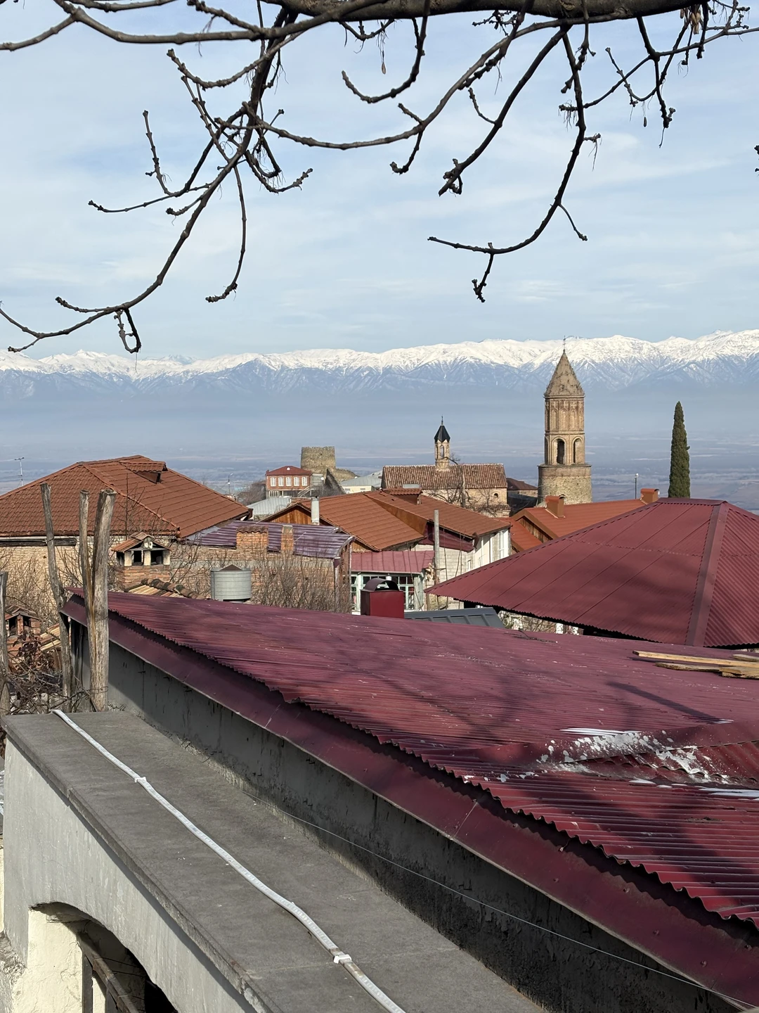 Отзыв о экскурсии "Кахетия: вино, легенды и красота (в группе)" — фото 1