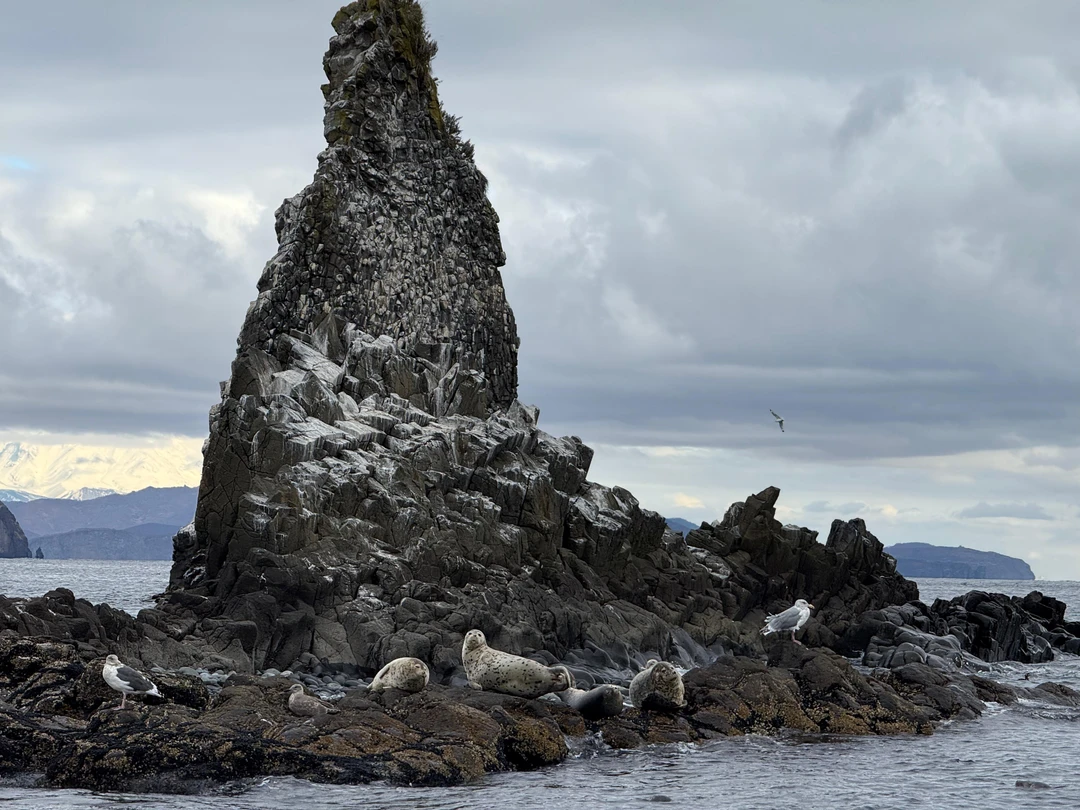 Отзыв о экскурсии "Путешествие к острову Старичков: морская рыбалка + крабовое сафари" — фото 1