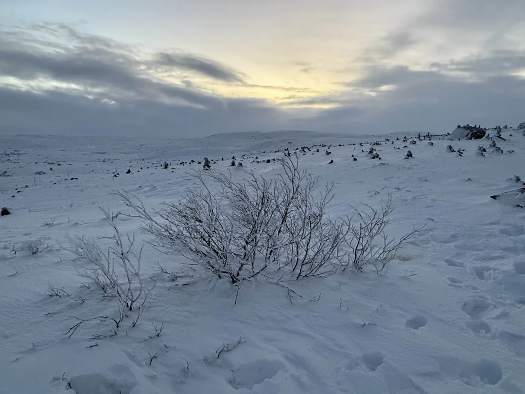 Отзывы об экскурсиях в Мурманске