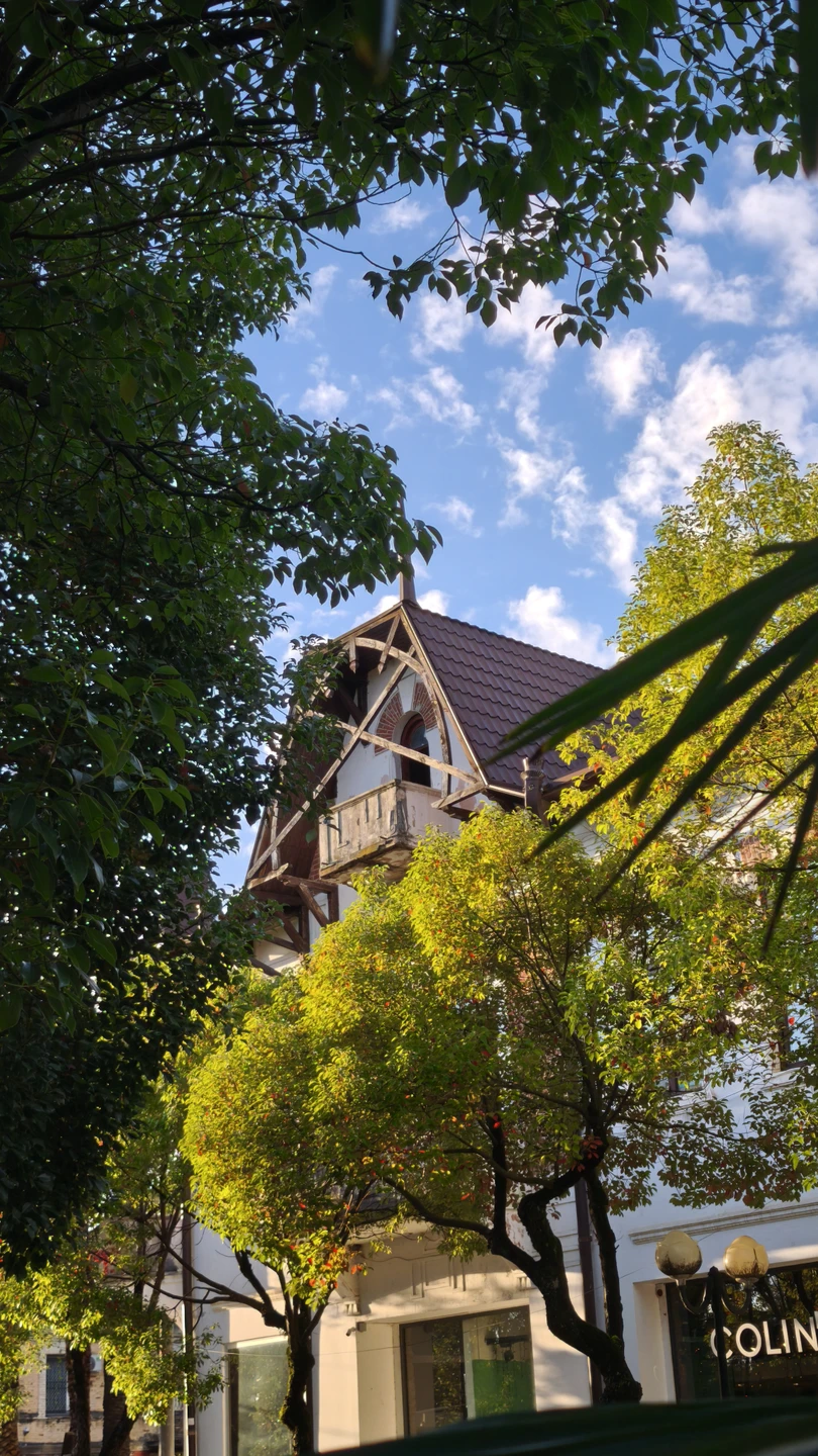 Отзыв о экскурсии "Многоликий Сухум: пешая экскурсия по городу с открытками и фото 19-20 веков" — фото 8