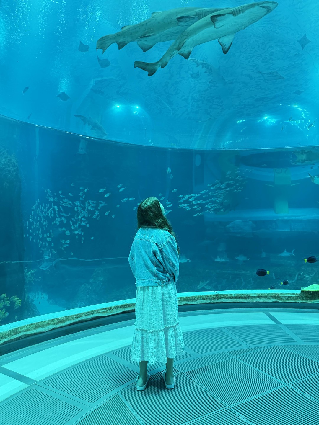 Отзыв о экскурсии "Абу-Даби — столица для всех!" — фото 4