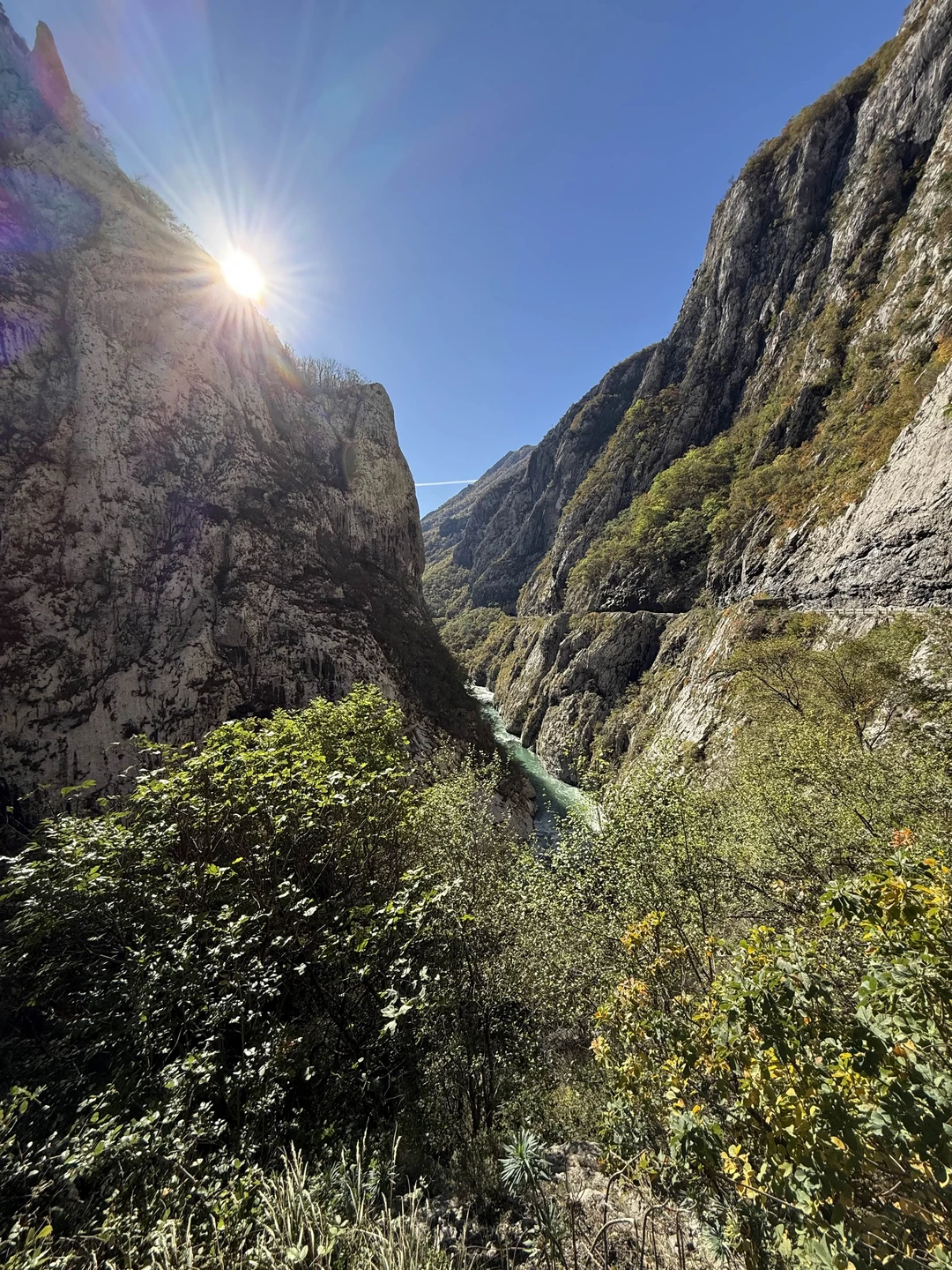 Отзыв о экскурсии "На север Черногории" — фото 7