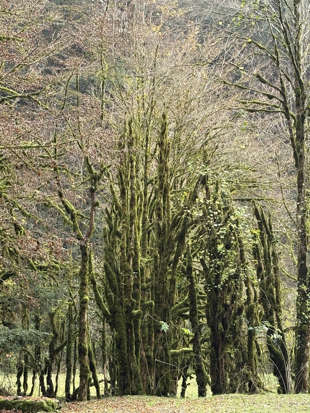 Фото путешественника — 5