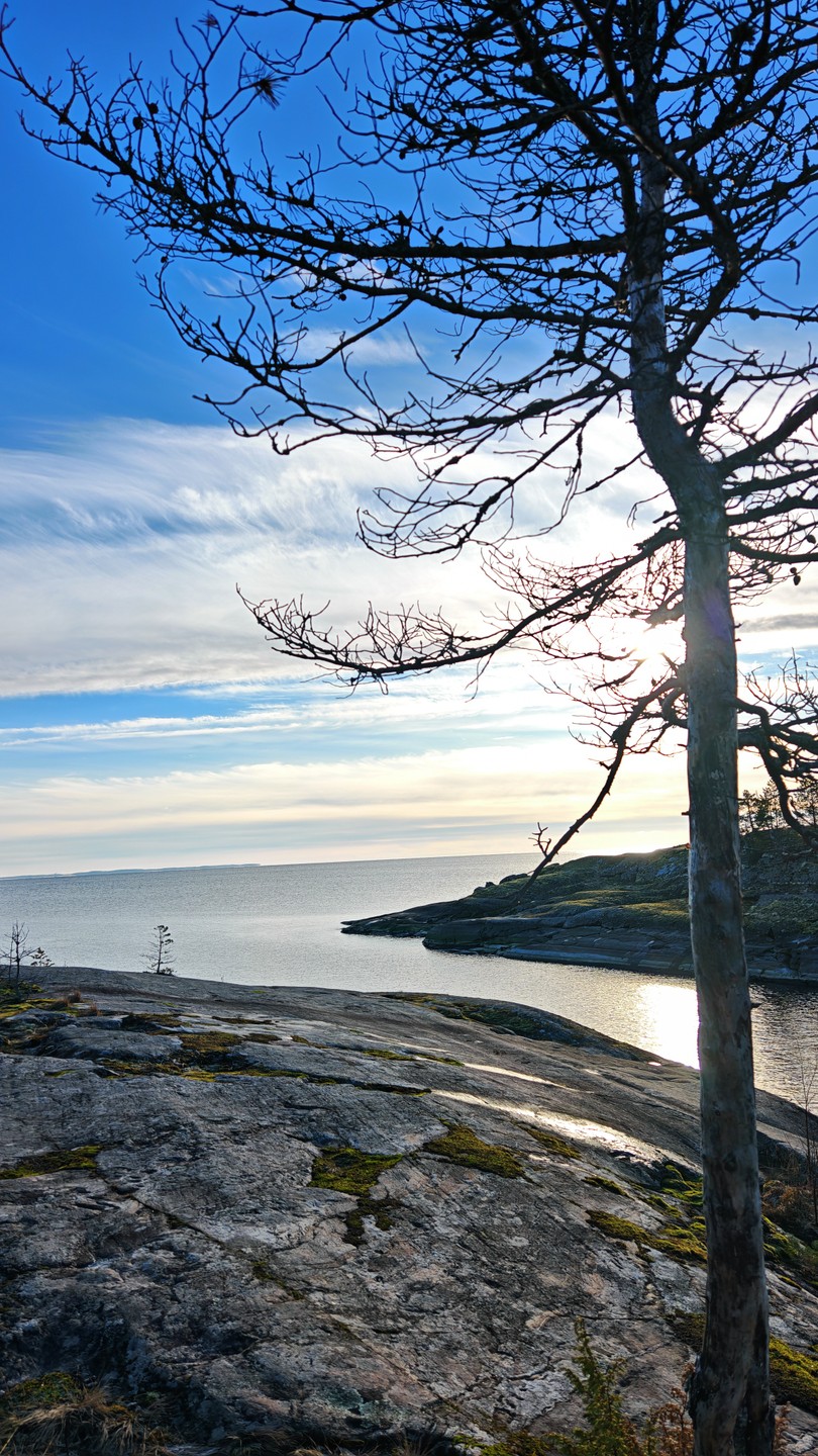 Отзыв о экскурсии "Только природа: из Сортавалы — на Ладожские шхеры" — фото 6
