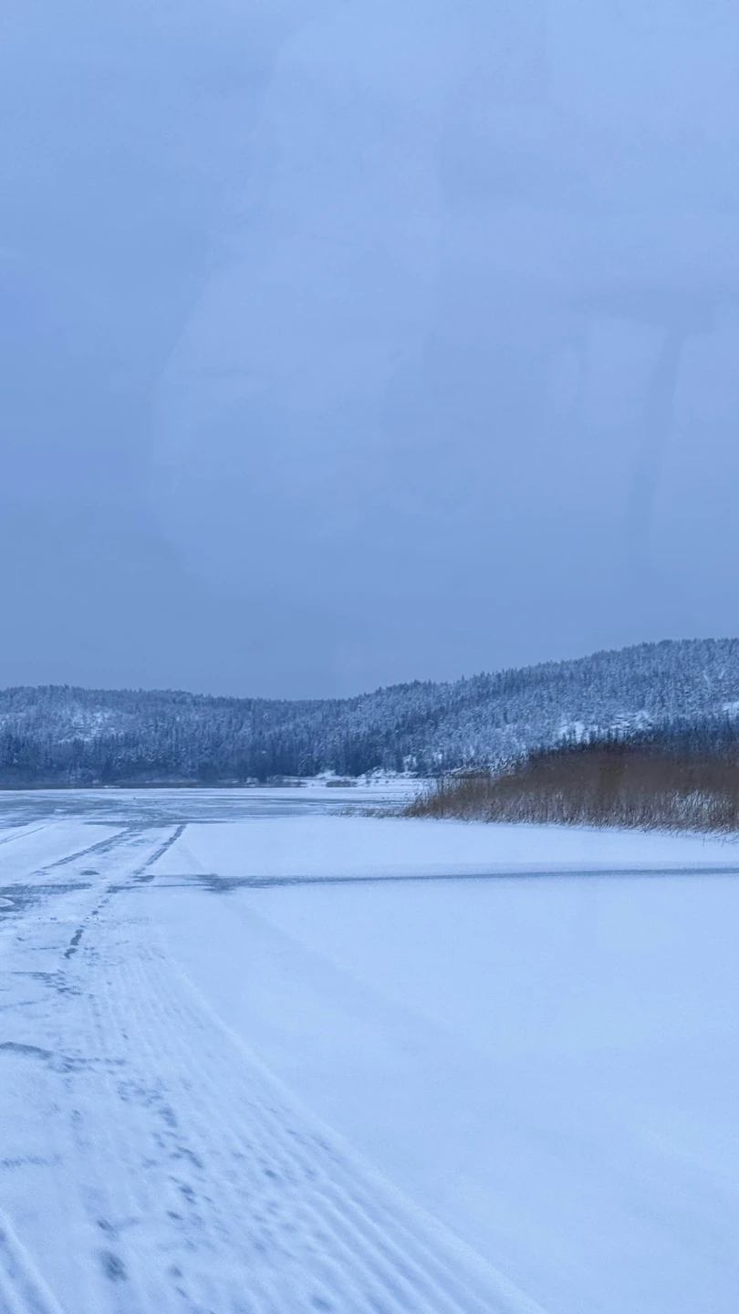 Отзыв о экскурсии "По Ладожскому озеру — на аэролодке своей компанией!" — фото 1