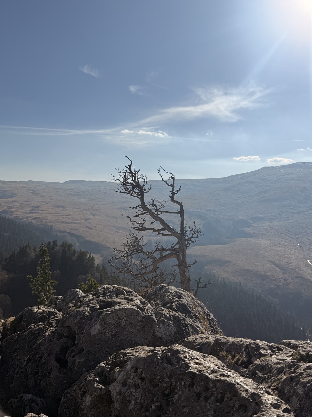 Отзыв о экскурсии "Из Краснодара — по топовым смотровым площадкам плато Лаго-Наки" — фото 4