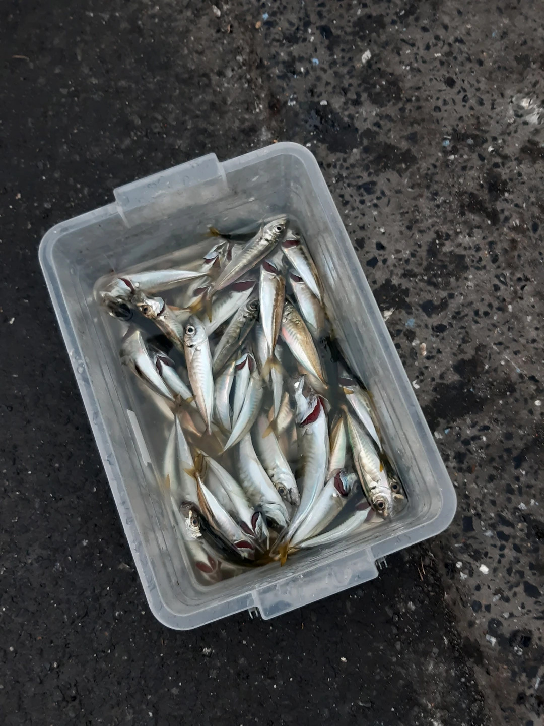 Отзывы об экскурсиях в Стамбуле