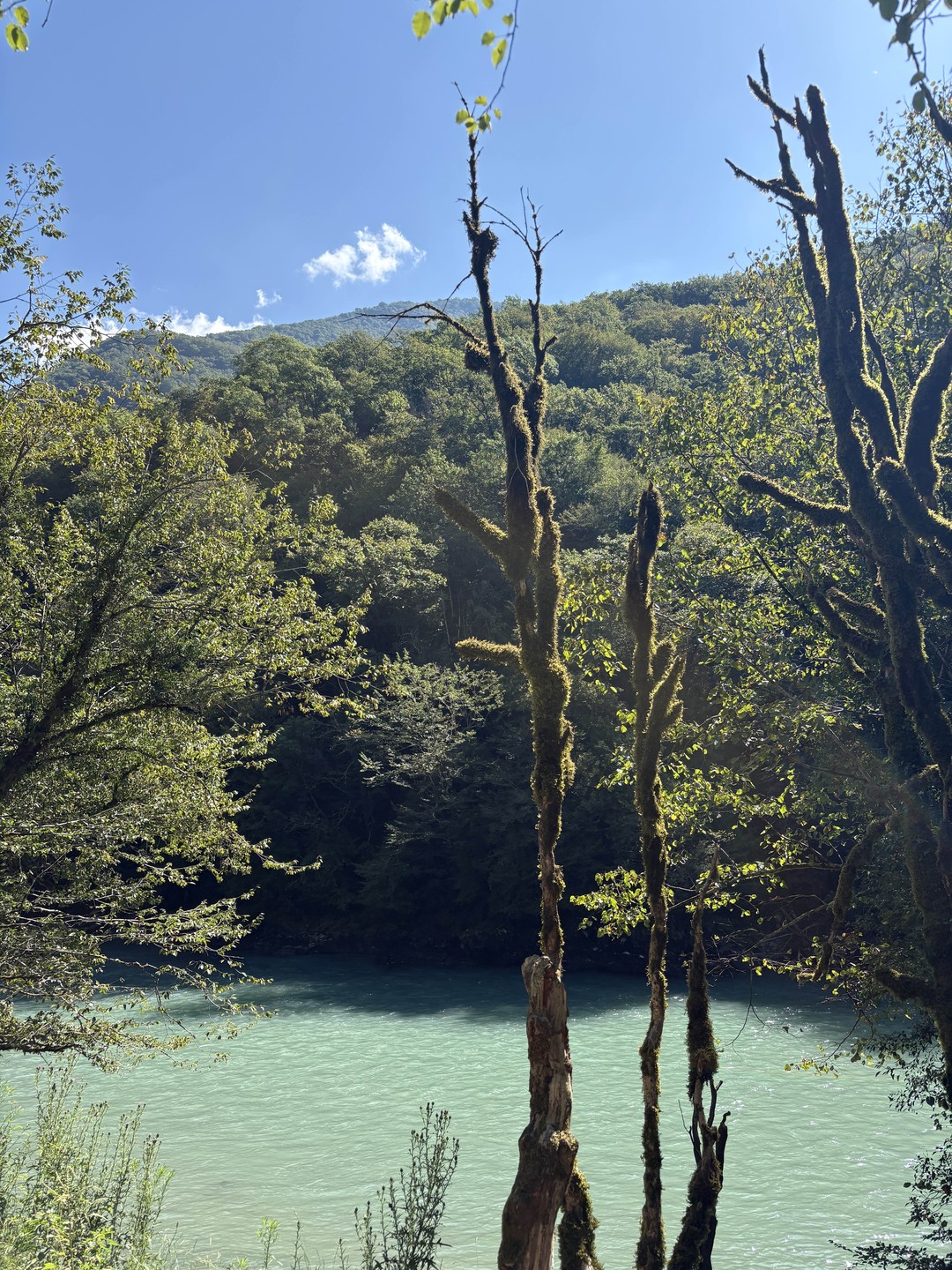 Фото путешественника — 8