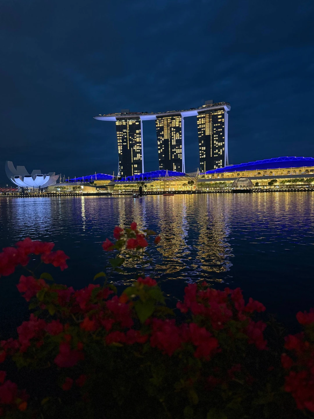 Отзыв о экскурсии "Большое путешествие по 5 странам Юго-Восточной Азии: Таиланд, Камбоджа, Вьетнам, Сингапур, Малайзия" — фото 3