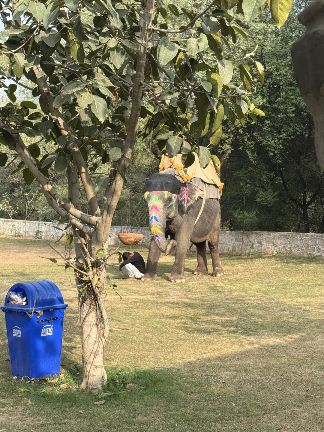 Отзыв о экскурсии "Тур-знакомство с Индией: главные места Дели, Джайпура, Агры и Варанаси за 8 дней" — фото 5
