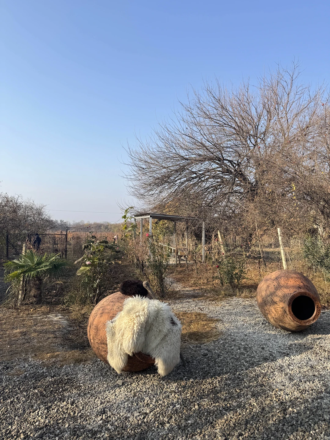 Фото путешественника — 4