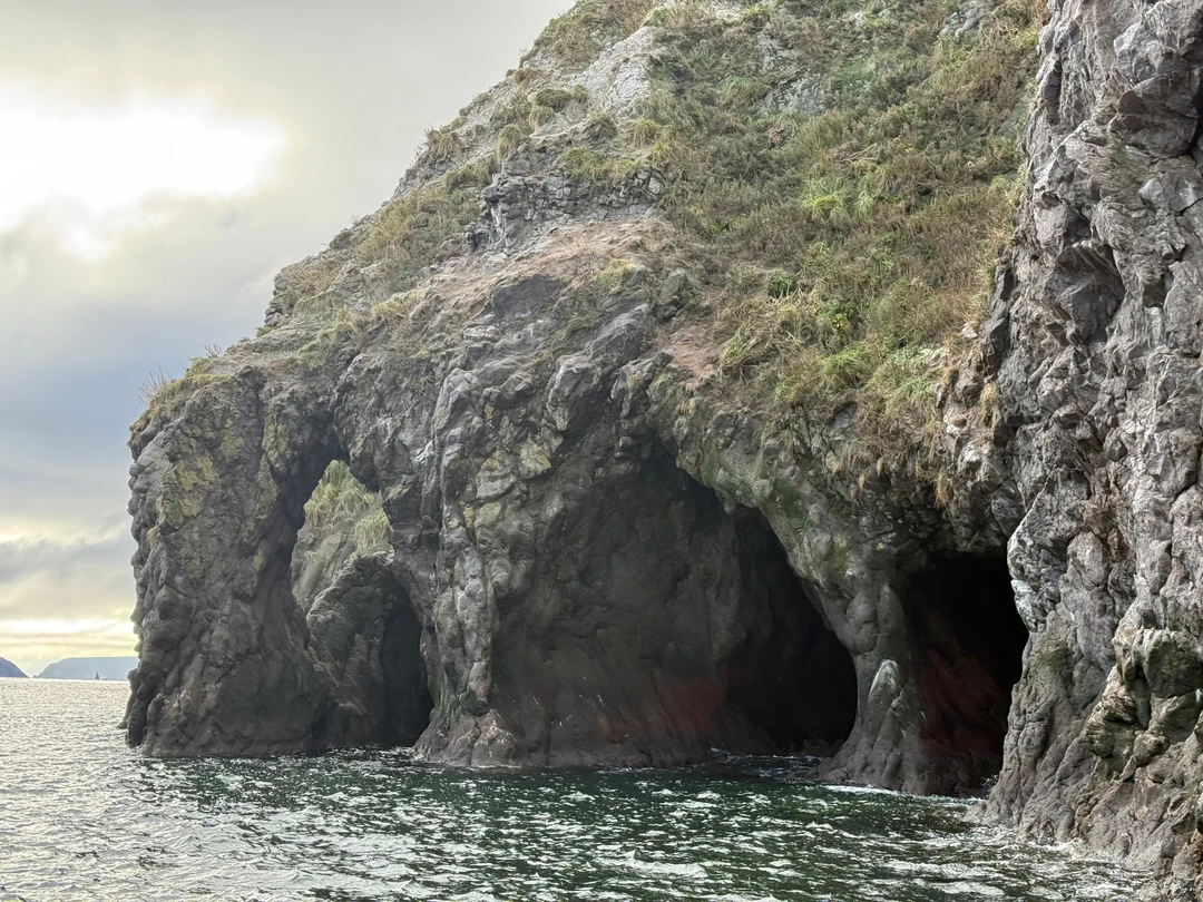 Отзыв о экскурсии "Бухта Русская — с высадкой на берег, морской рыбалкой и крабовым сафари" — фото 3