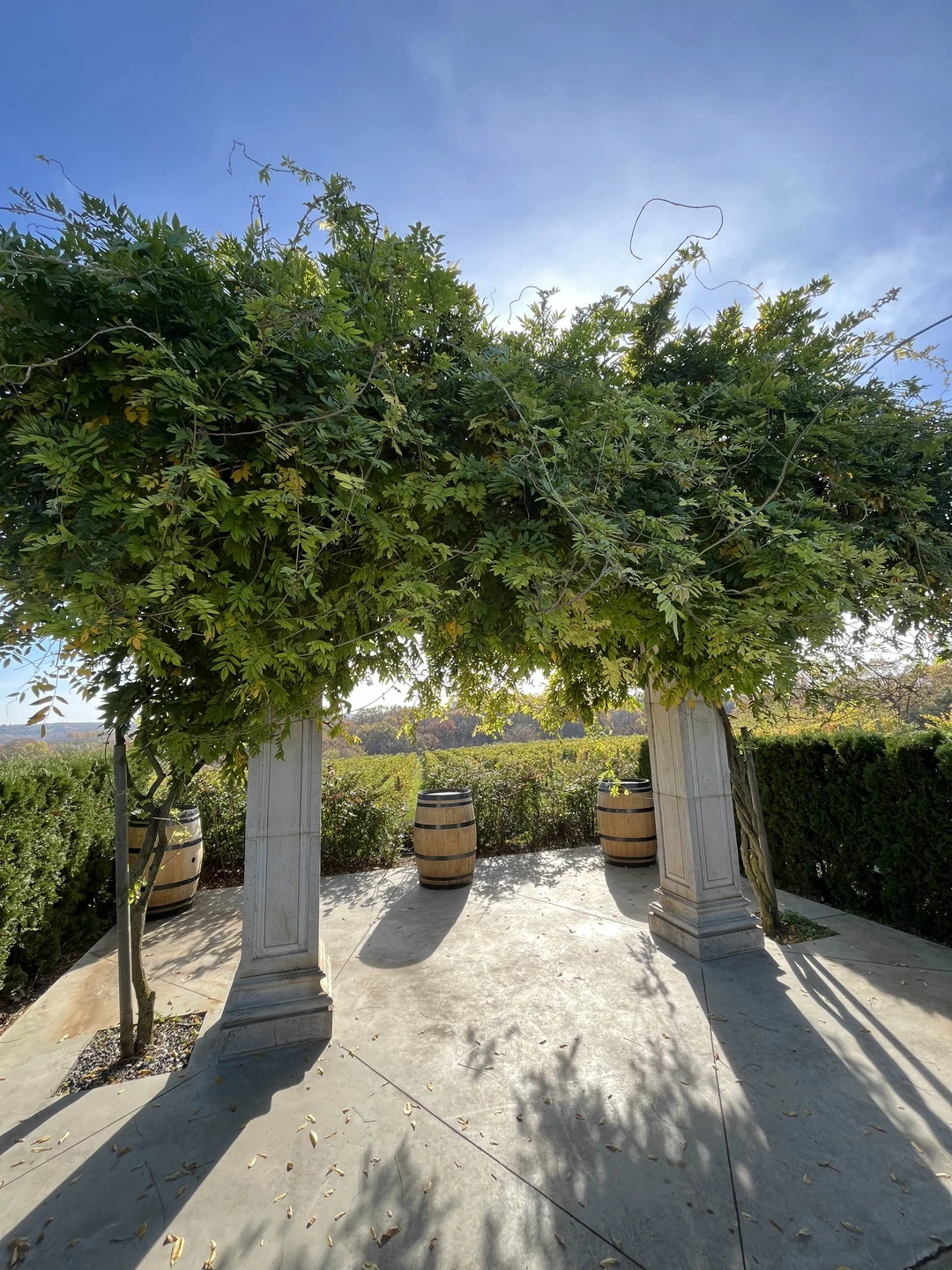 Отзыв о экскурсии "Из Анапы — в долину Лефкадия" — фото 5