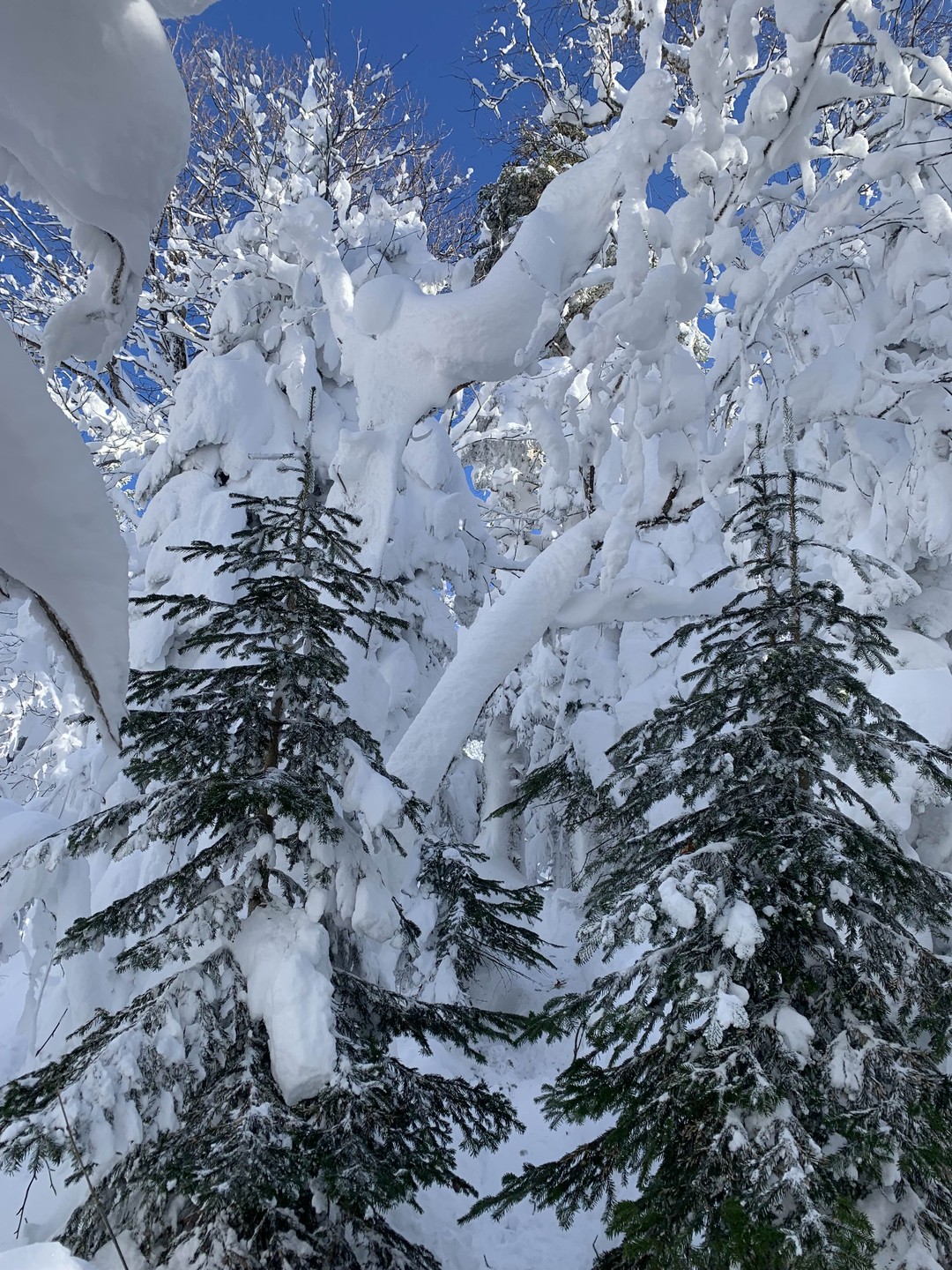 Фото путешественника — 6