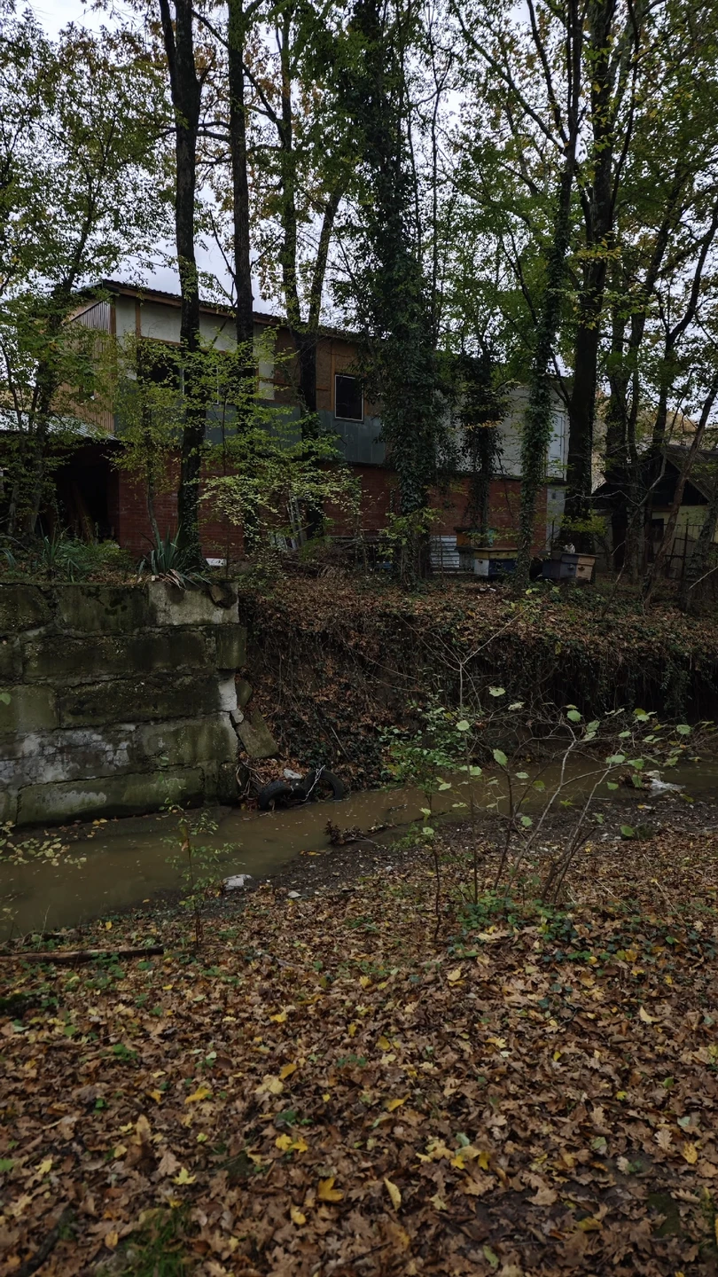 Отзыв о экскурсии "Активный хайкинг по лучшим местам Большого Геленджика" — фото 1