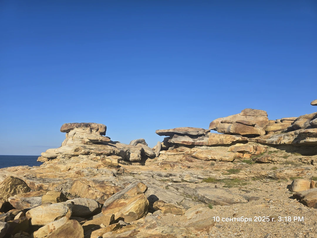 Отзыв о экскурсии "Заповедная территория: к океану на гигантской машине с проживанием в кемпинге" — фото 5
