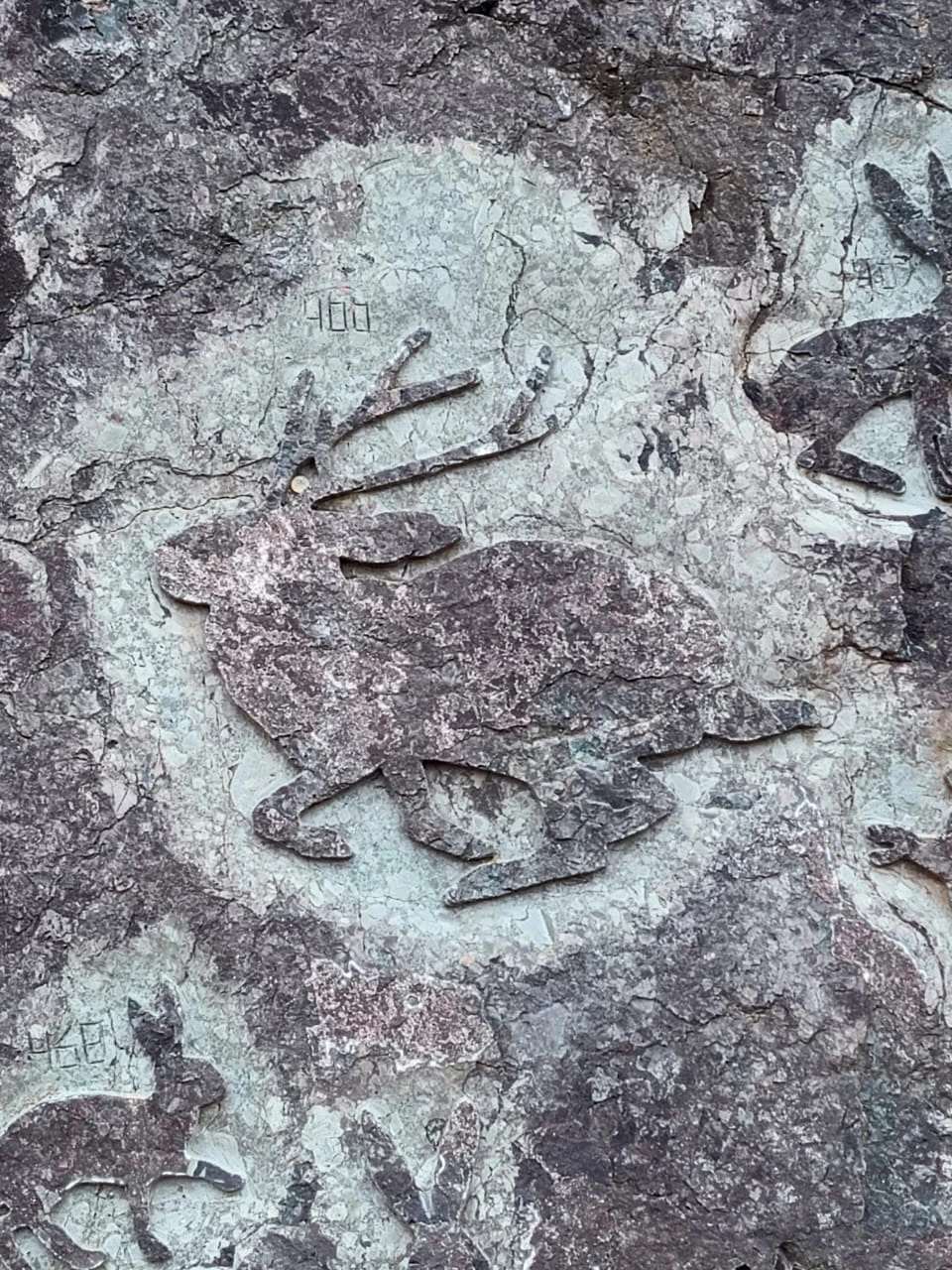 Фото путешественника — 3