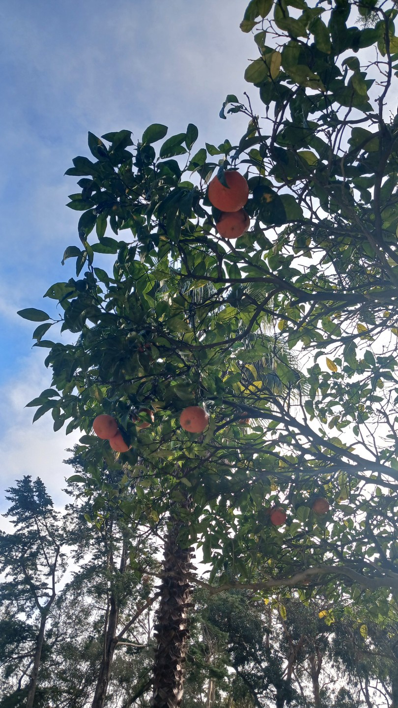 Отзыв о экскурсии "К мысу Рока и рыбацкой деревеньке" — фото 4