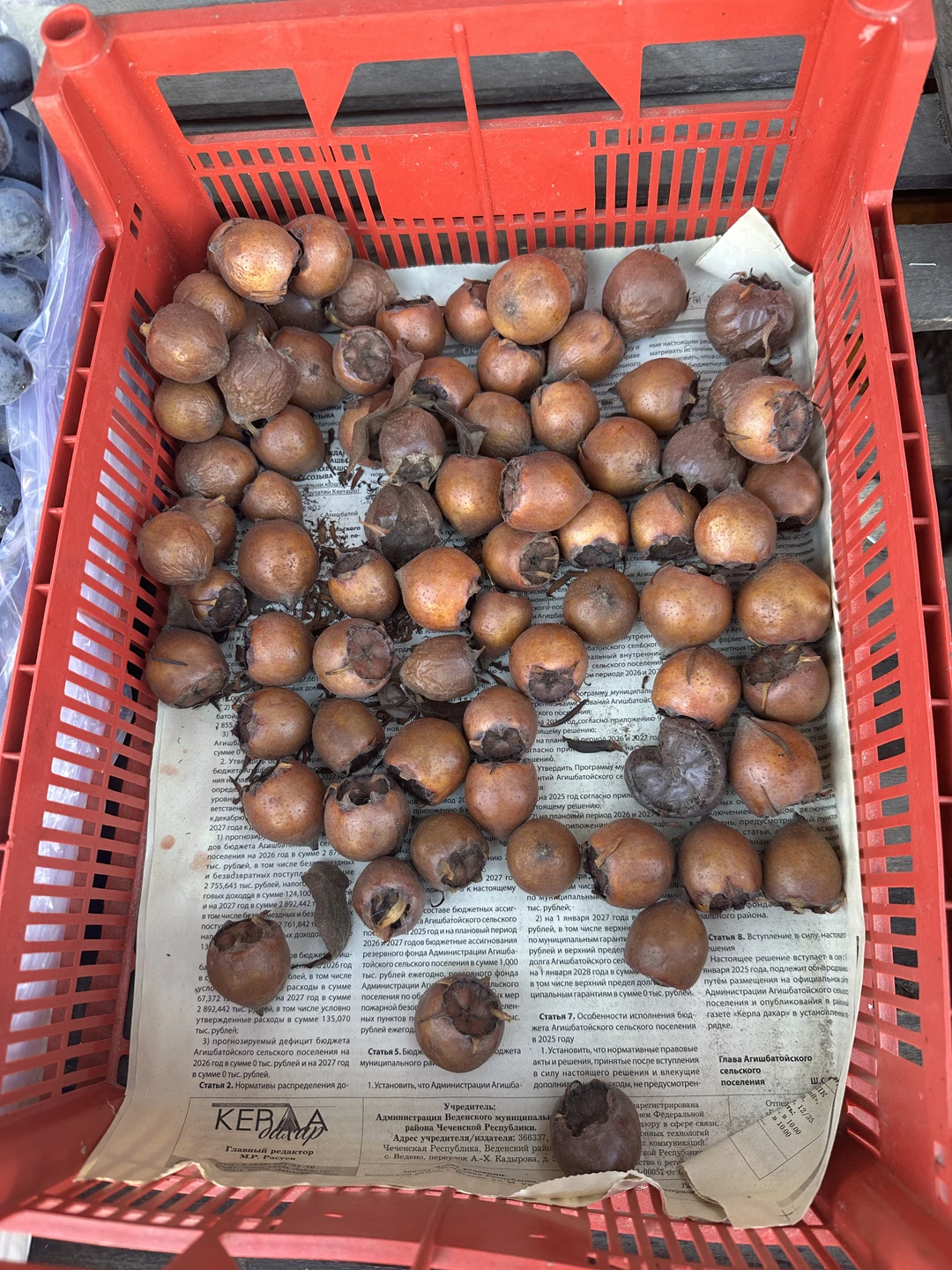 Отзыв о экскурсии "Архитектура горной Чечни: в Аргунское ущелье — из Грозного" — фото 5