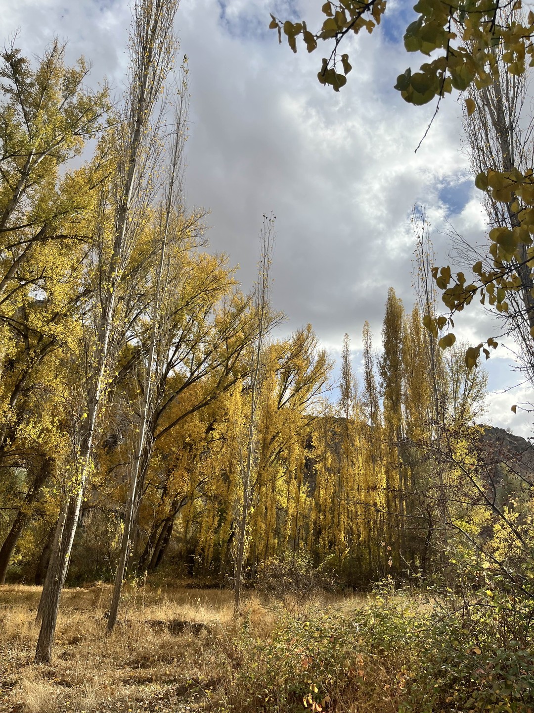 Отзыв о экскурсии "Зелёная поездка по Каппадокии" — фото 3