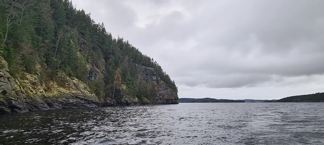 Отзыв о экскурсии "Валаам, Ладожские шхеры и остров Хонкасало: водная прогулка" — фото 5