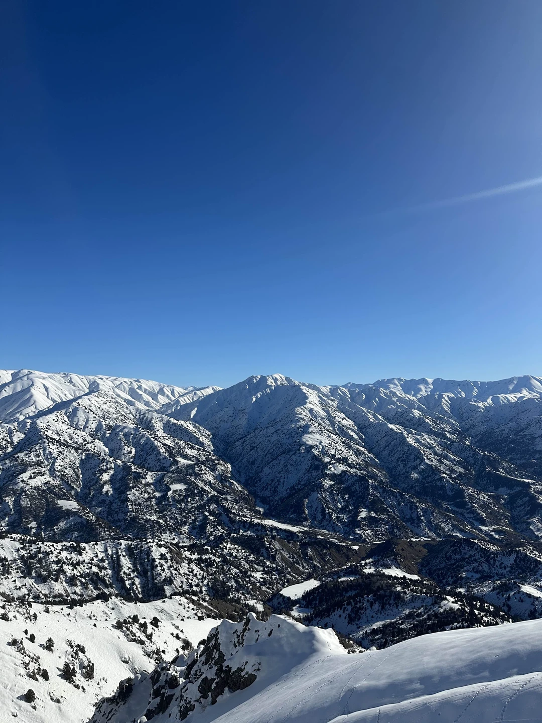 Отзыв о экскурсии "Из Ташкента — к величественным Чимганским горам!" — фото 4