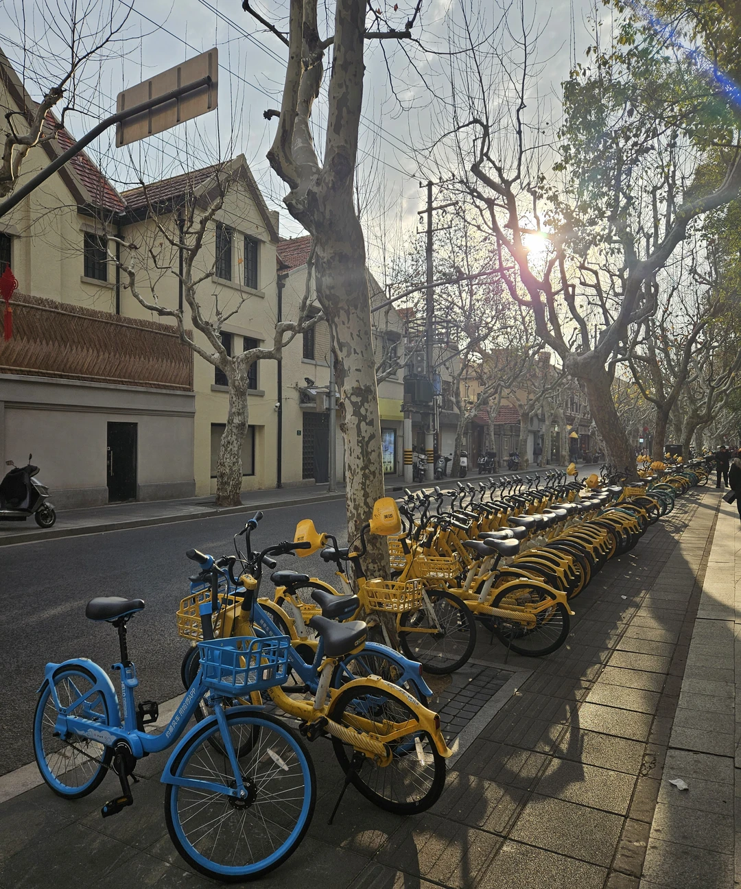 Фото путешественника — 2