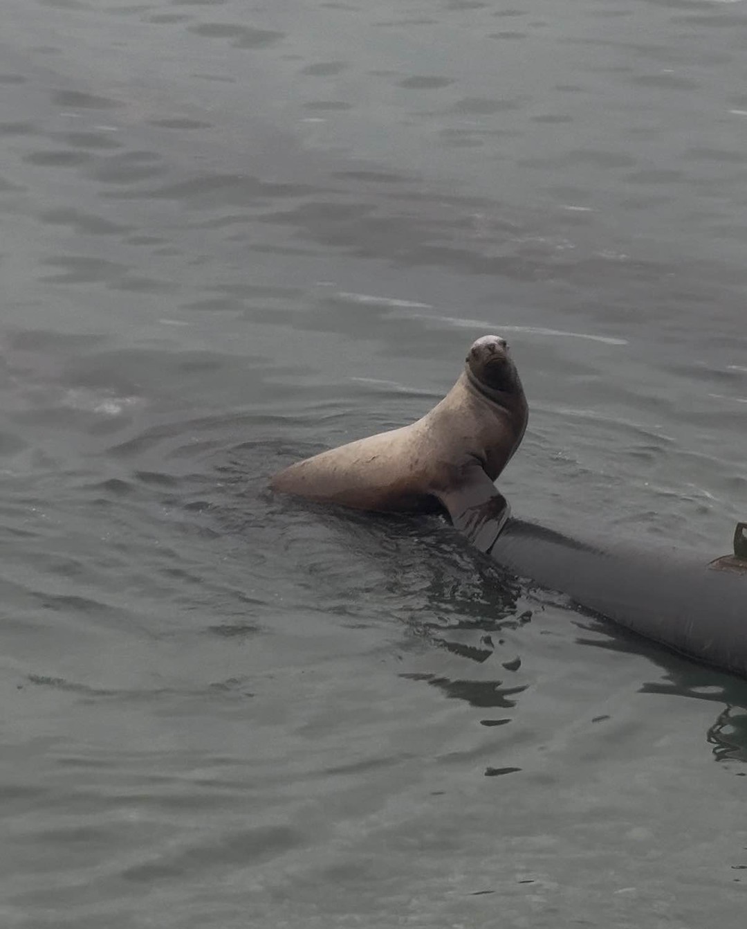 Фото путешественника — 3