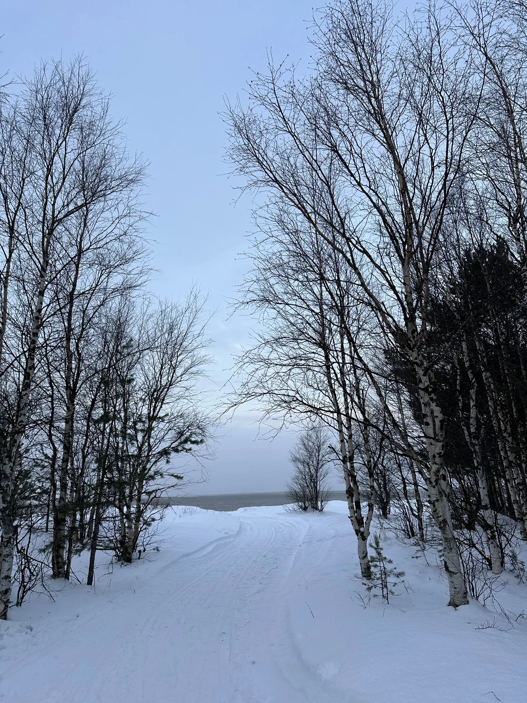 Отзыв о экскурсии "К Белому морю на остров Ягры" — фото 4