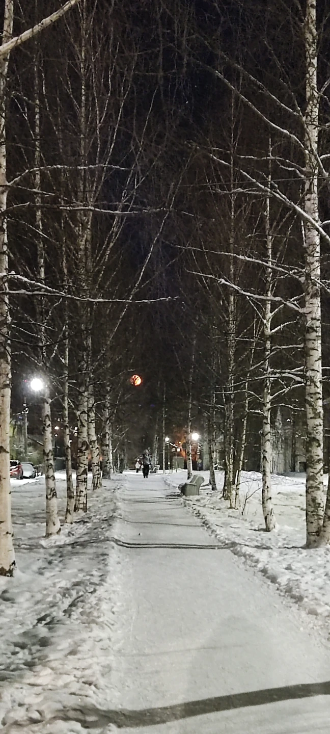 Отзыв о экскурсии "Удивительная и живописная Сортавала" — фото 2