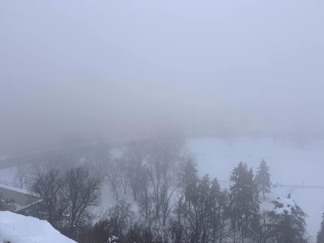 Отзывы об экскурсиях в Белграде