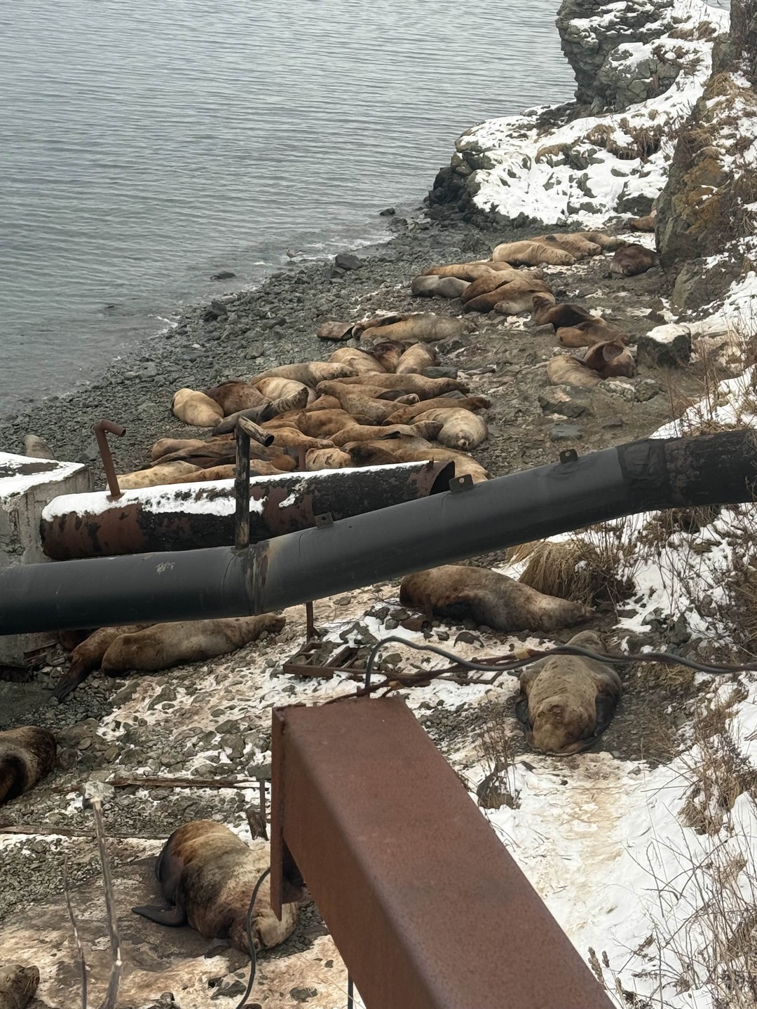 Фото путешественника — 4