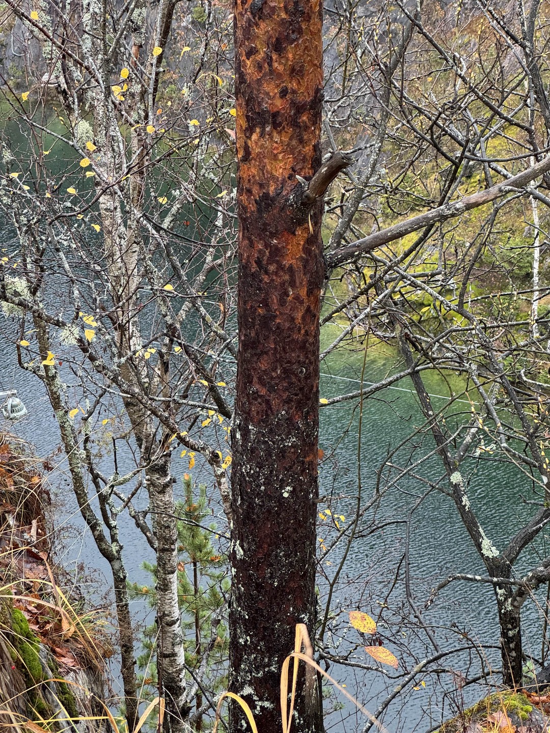 Отзыв о экскурсии "Южная Карелия: Рускела и окрестности" — фото 5