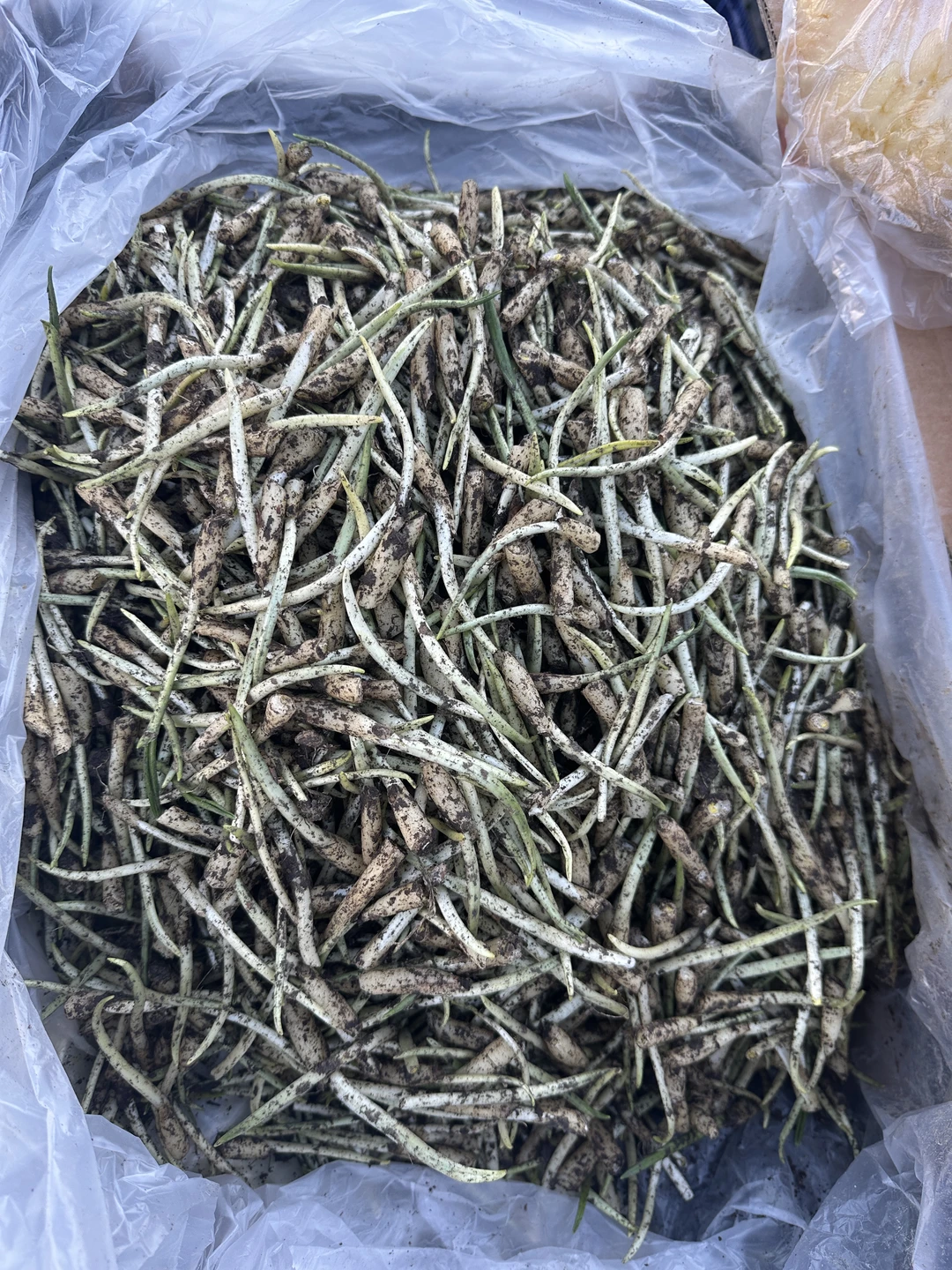 Отзыв о экскурсии "Архитектура горной Чечни: в Аргунское ущелье — из Грозного" — фото 4