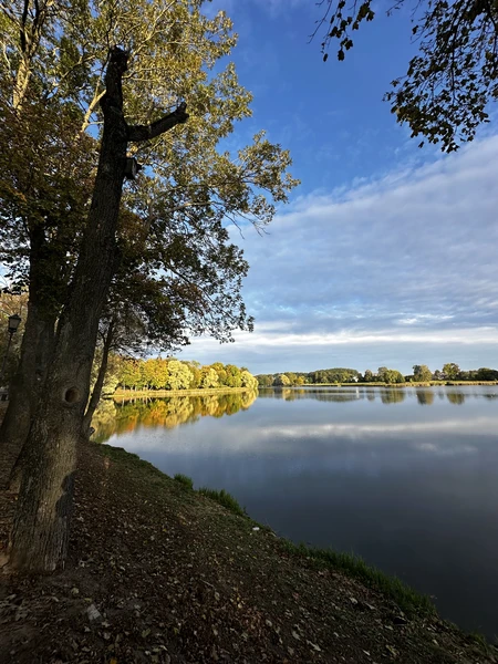 Отзыв о экскурсии "Замки Беларуси: групповая экскурсия в Мир и Несвиж из Минска" — фото 5