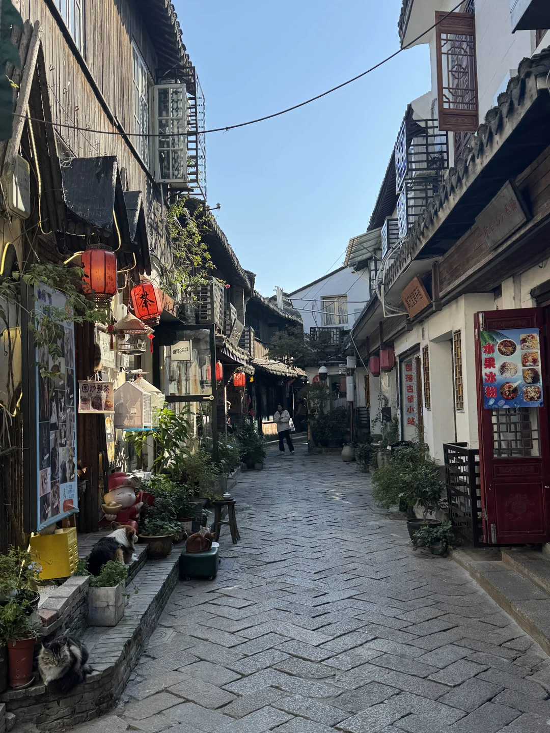 Отзыв о экскурсии "Из Шанхая в Ханчжоу и обратно — на высокоскоростном поезде" — фото 4