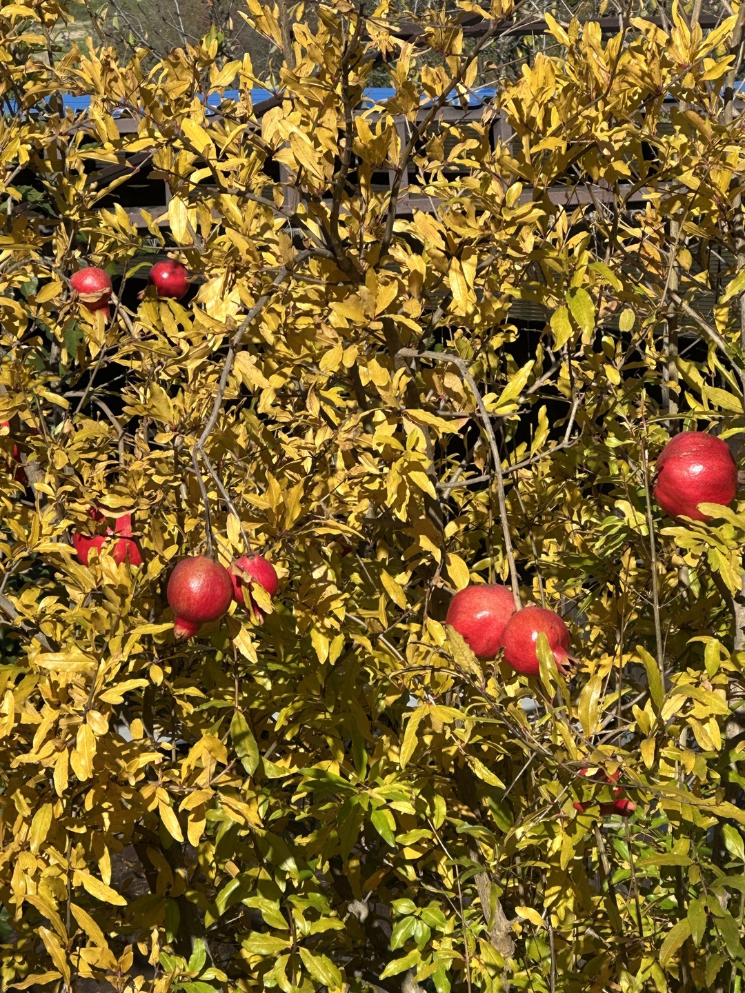 Отзыв о экскурсии "Анапа: топ-места за 5 часов" — фото 5