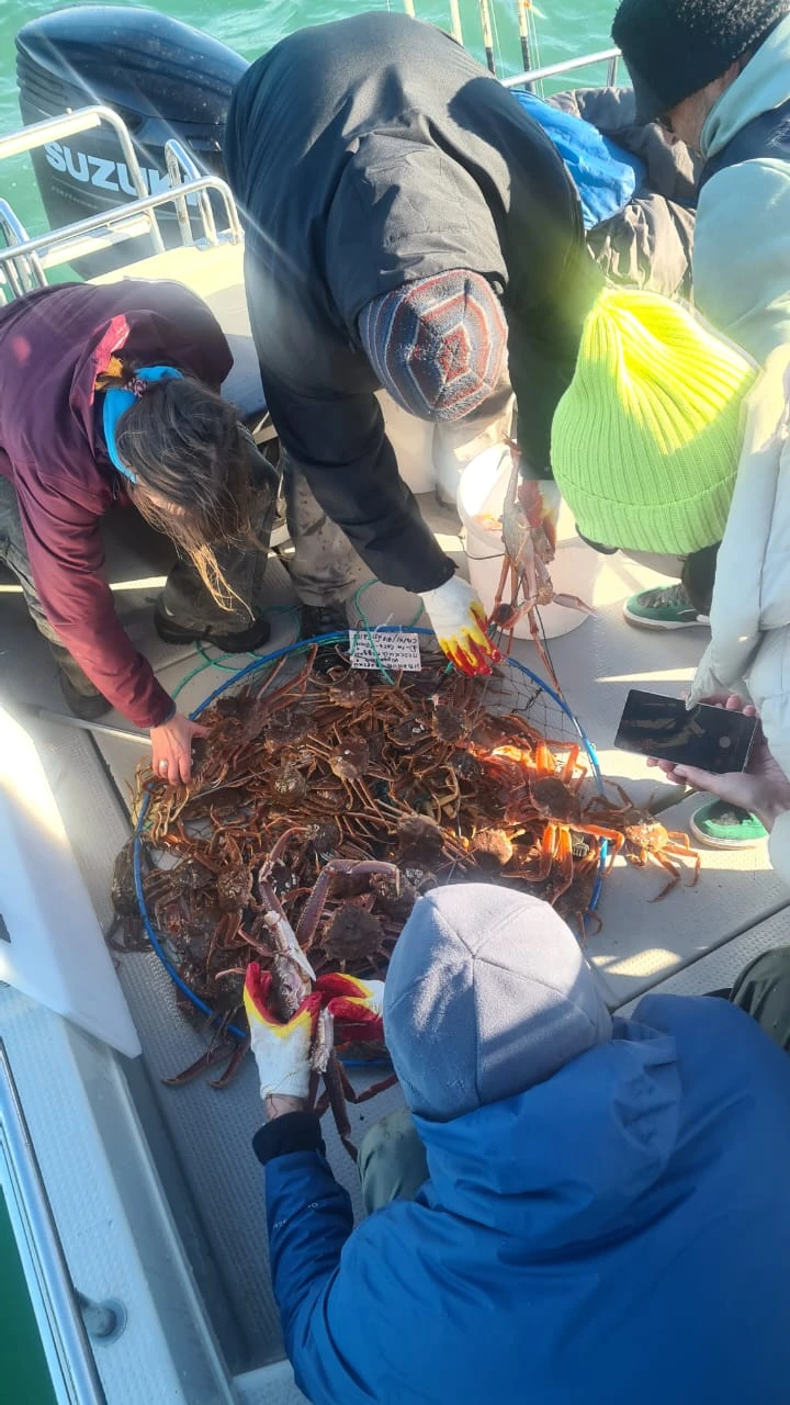 Отзыв о экскурсии "Бухта Русская — с высадкой на берег, морской рыбалкой и крабовым сафари" — фото 1